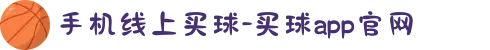 手机线上买球-买球app官网